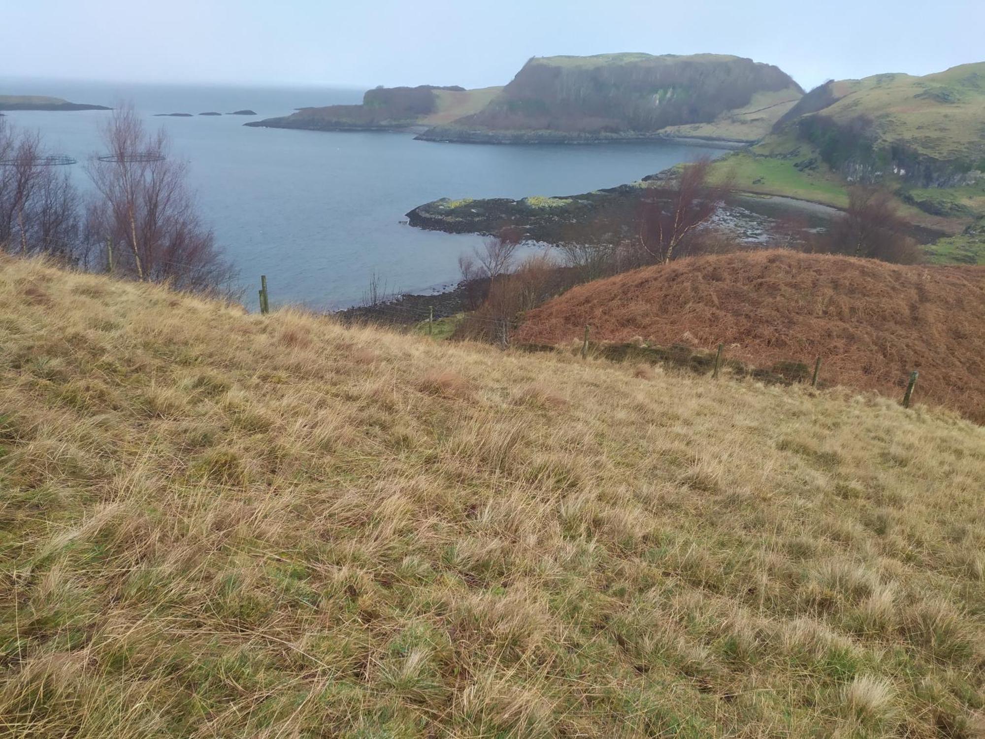 Ballimackillichan Croft Isle of Lismore Exterior foto